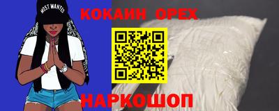 гидра Кандалакша