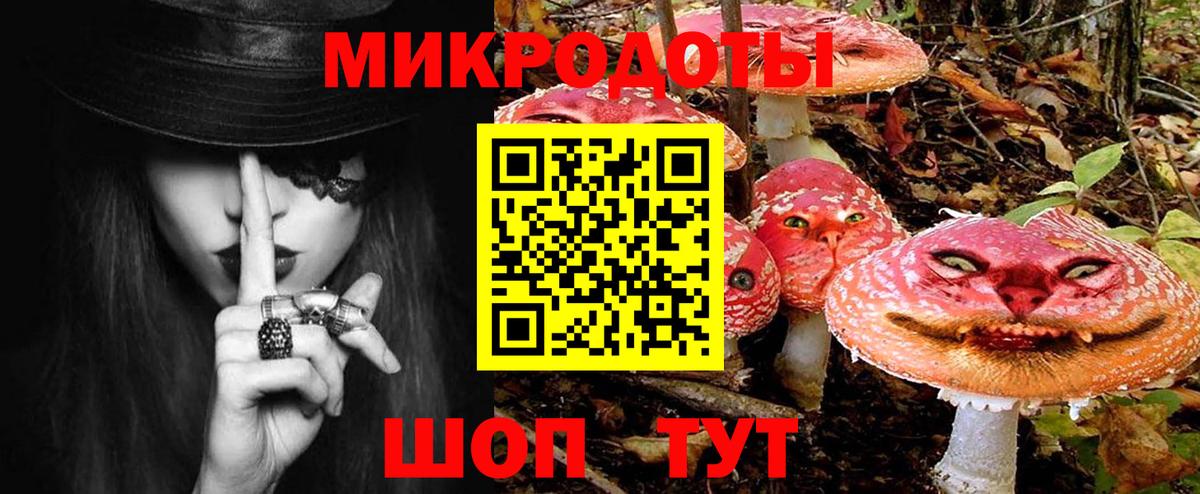 Галлюциногенные грибы мицелий  что такое   Лосино-Петровский  Вход с VPN 